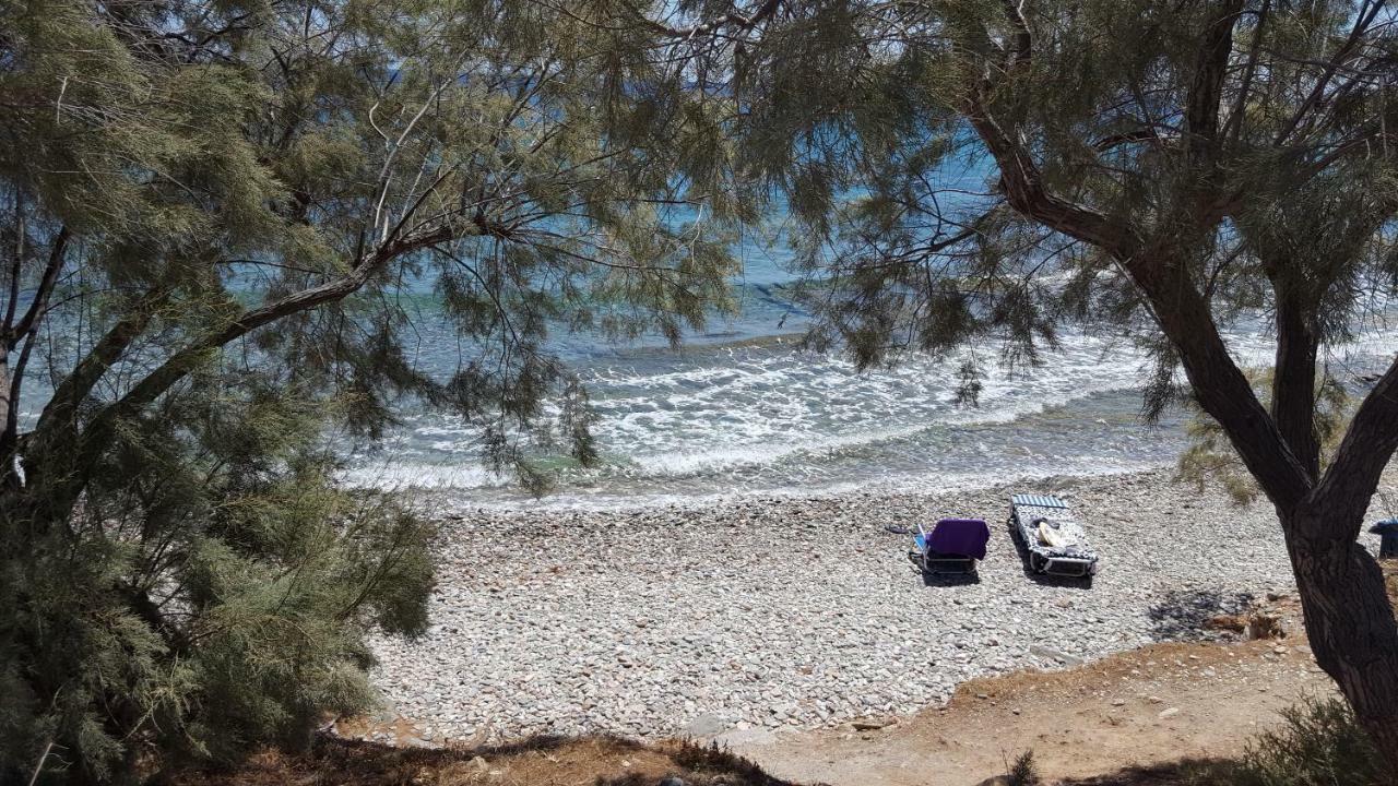 Flora'S Beach And Pool Villa In Syros Liaropá 외부 사진