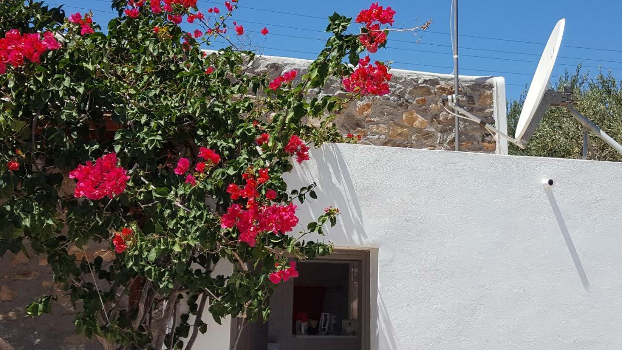 Flora'S Beach And Pool Villa In Syros Liaropá 외부 사진